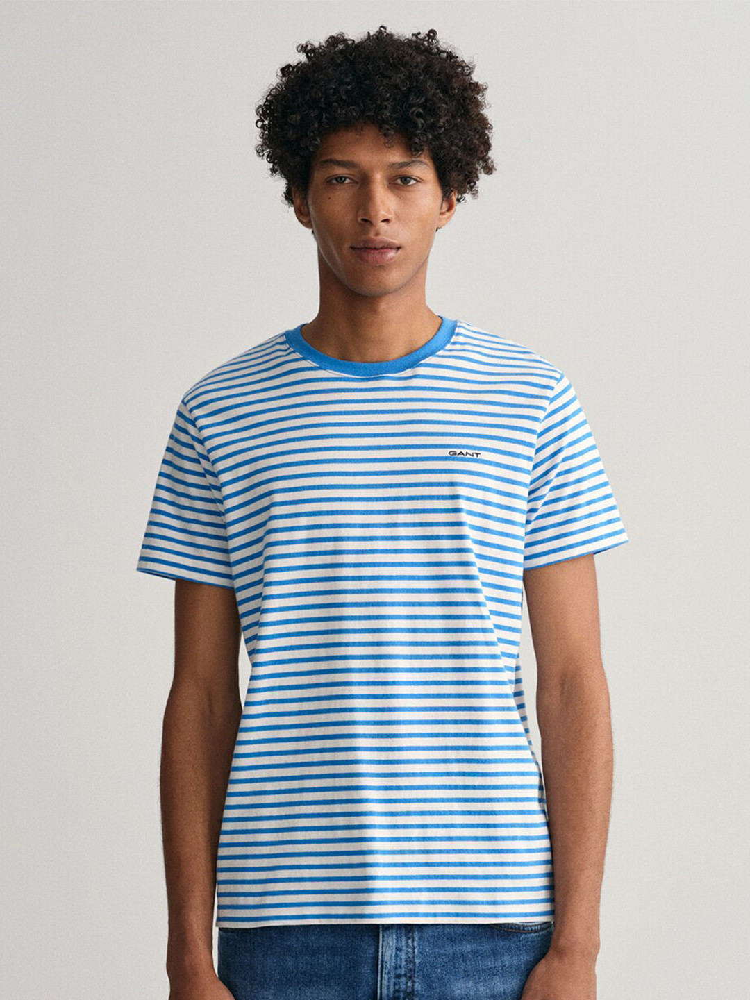 Gant Men Blue Striped Round Neck Short Sleeves Tshirt