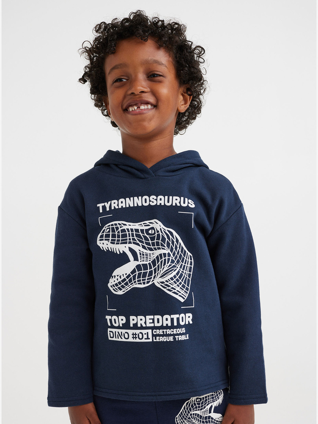 Buy H&M Kids Boys Printed Hoodie Sweatshirts for Boys 20243278 Myntra