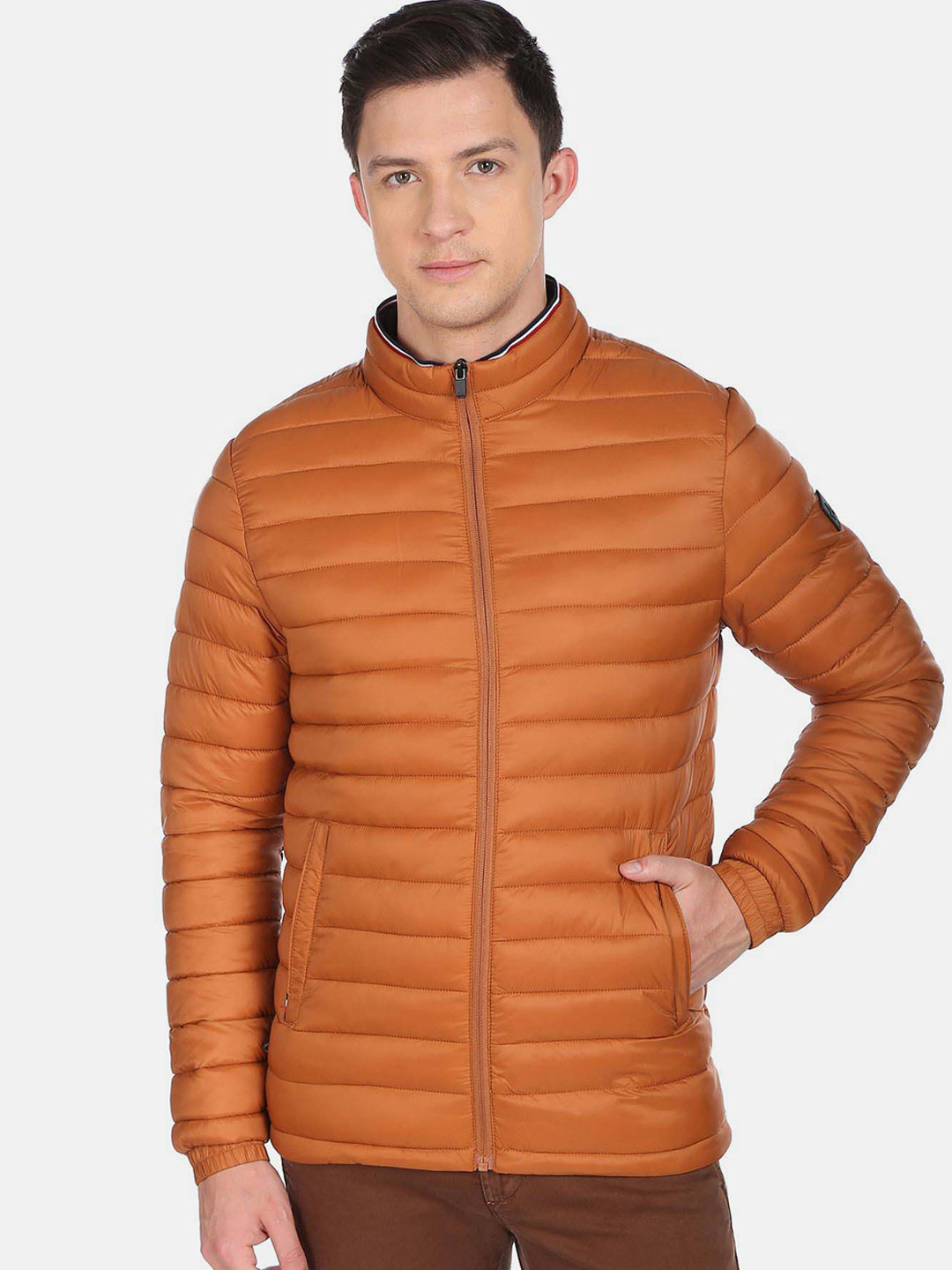 Buy Arrow Sport Men Brown Puffer Jacket Jackets for Men 20310990 Myntra