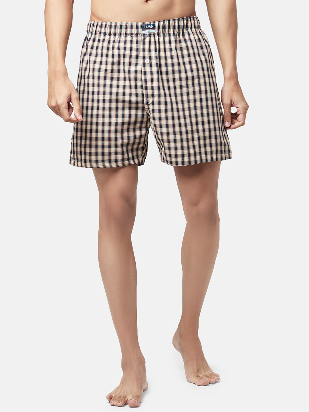 Buy Ajile By Pantaloons Men Blue Brown Checked Pure Cotton Boxers
