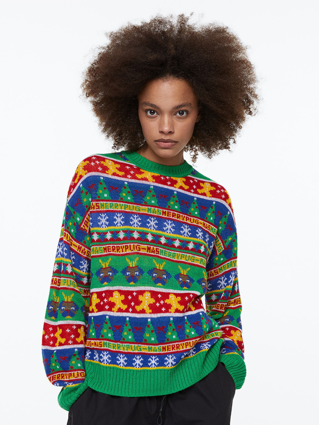 Buy H&M Women Green & Blue Jacquard Knit Jumper Sweaters for Women 20862958 Myntra