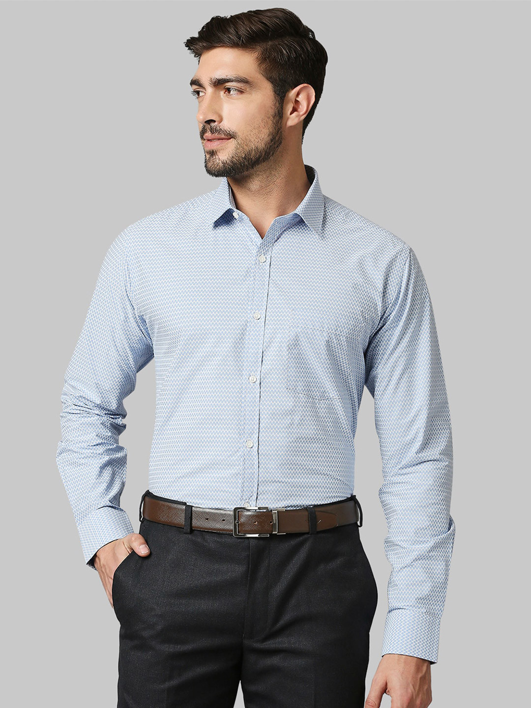 Buy Park Avenue Men Blue Slim Fit Micro Checked Cotton Formal Shirt