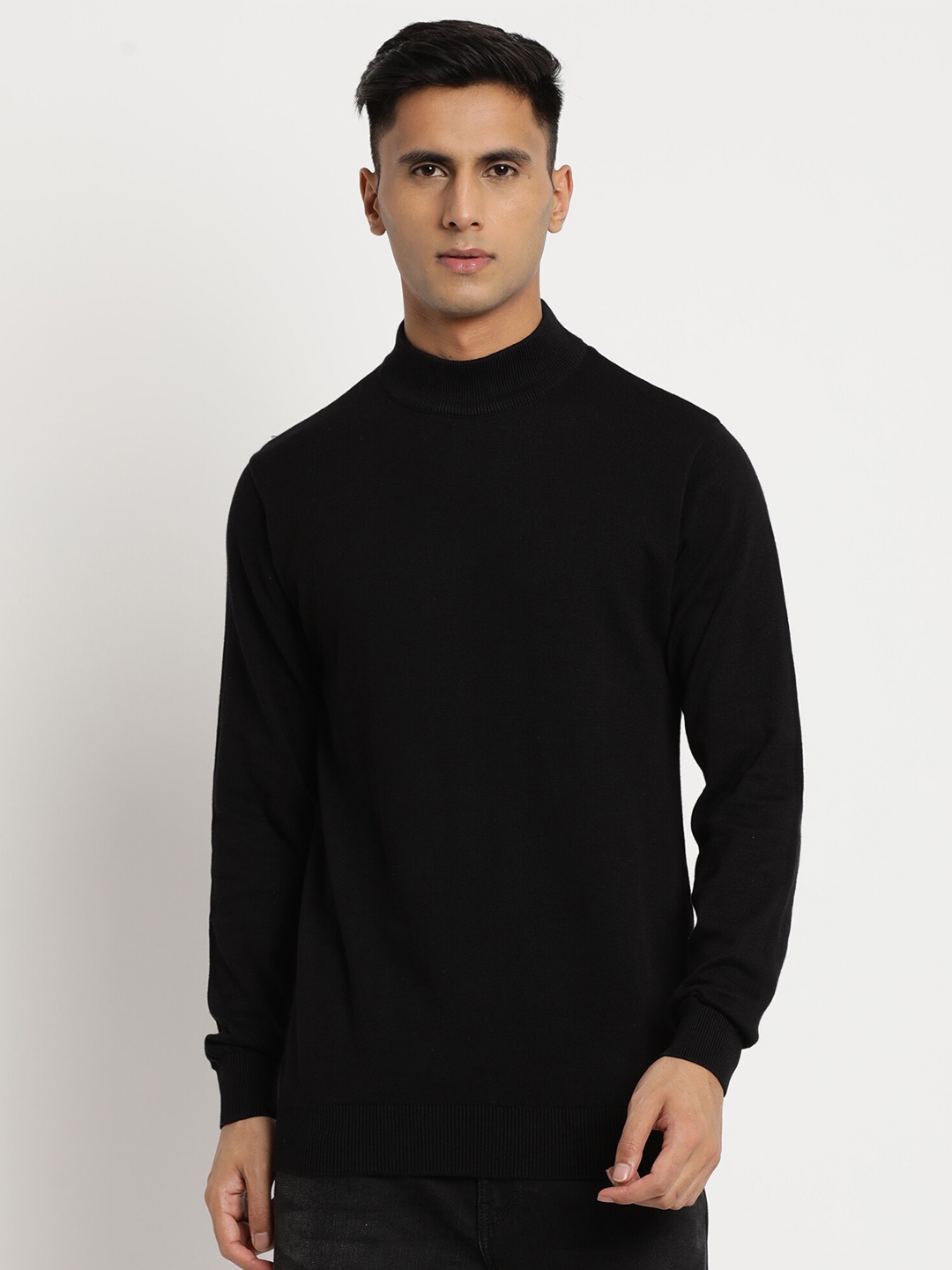 Buy Turtle Turtle Neck Cotton Pullover Sweater - Sweaters for Men ...