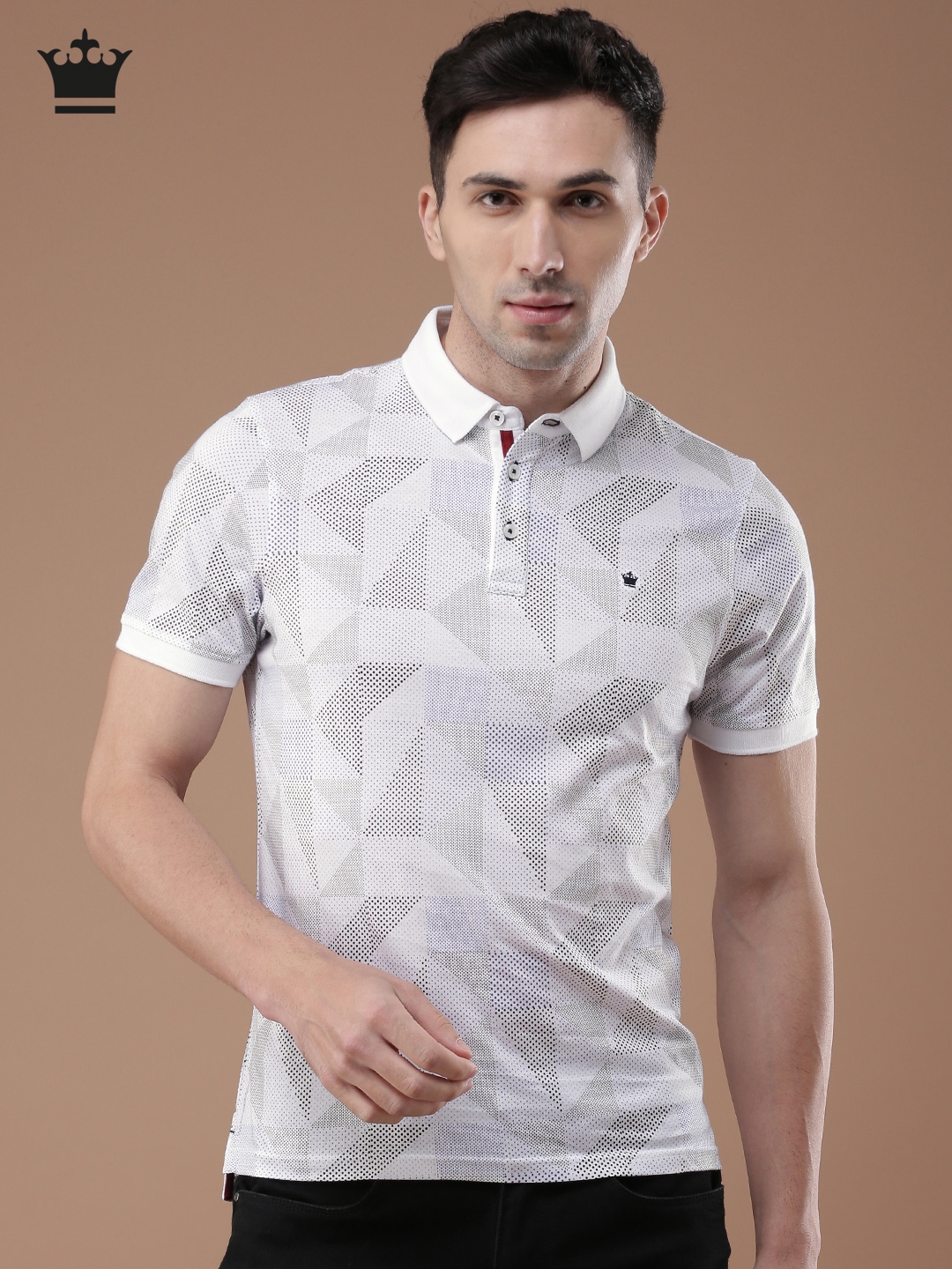 louis philippe t shirts full sleeves