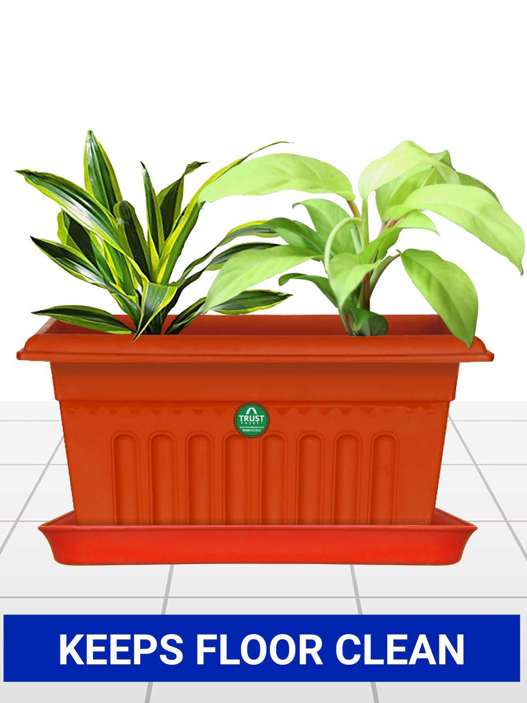 Buy TRUSTBASKET 6 Pcs Brown Square Saucers Planters Planters for