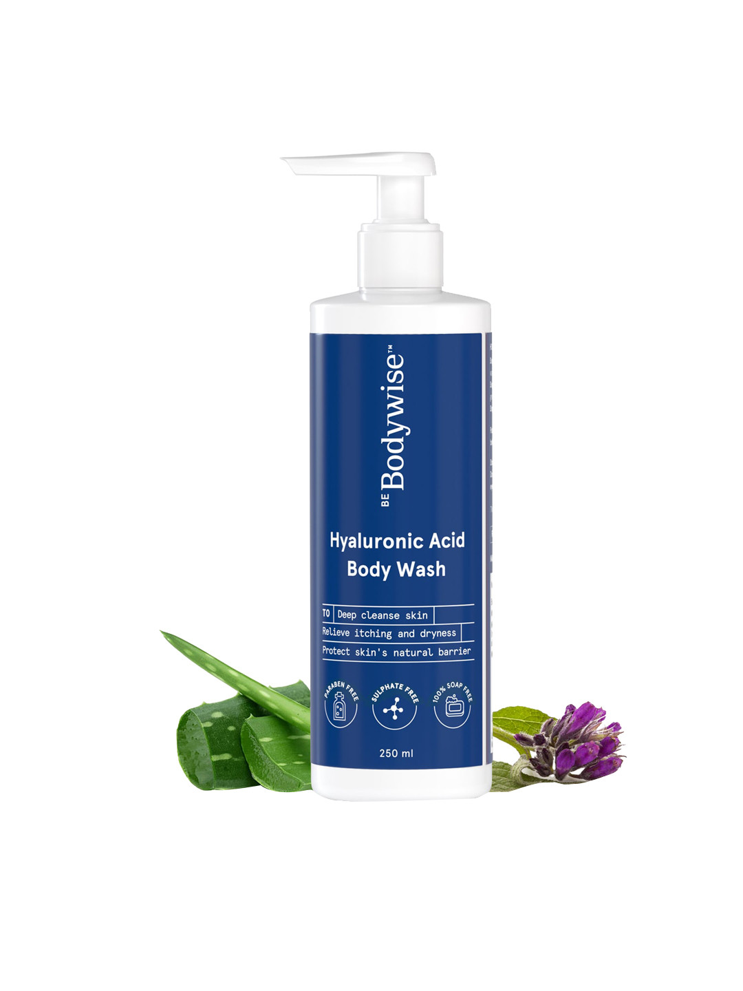 Buy Be Bodywise Hyaluronic Acid Soap Free Body Wash With Aloevera