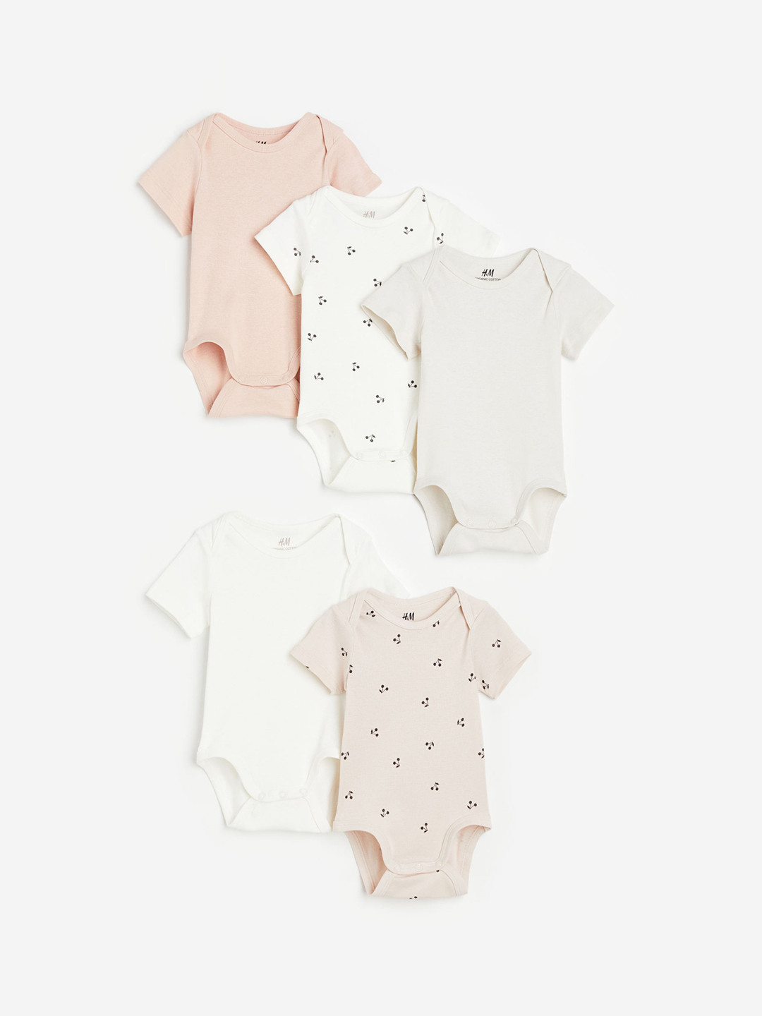 Buy H&M Infant Boys 5 Pack Cotton Bodysuits Bodysuit for Boys