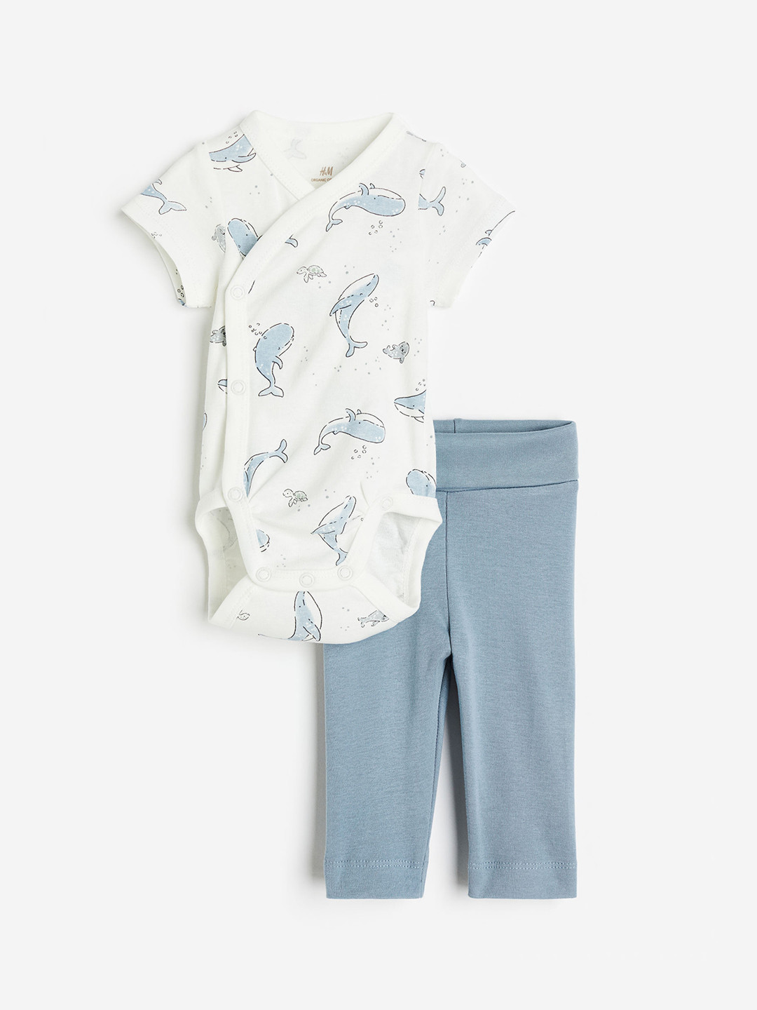 Buy H&M Infant Boys 2 Piece Pure Cotton Jersey Set Clothing Set for