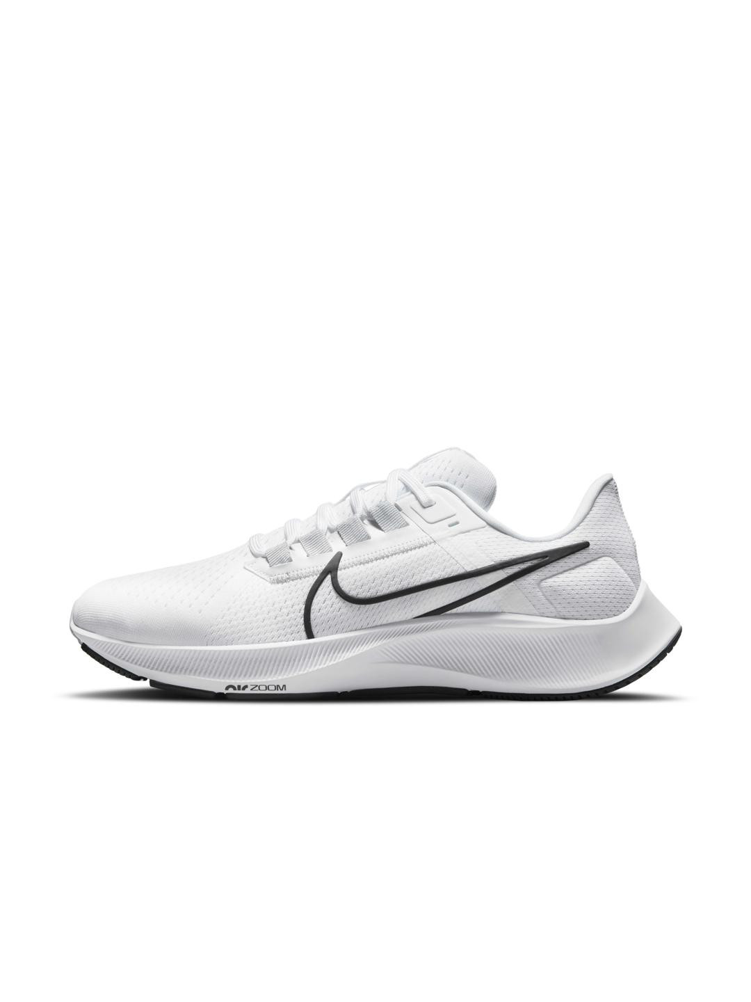 pegasus 38 nike men