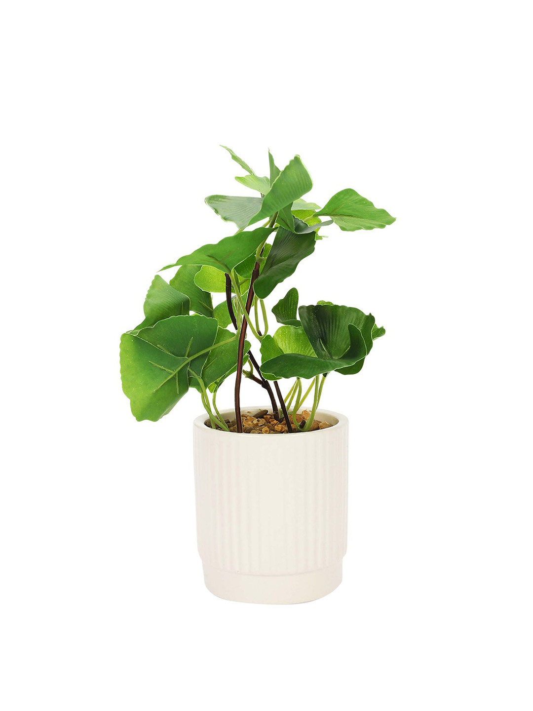 Buy Anko Beige Artificial Plant In Linear Pot Artificial Flowers And