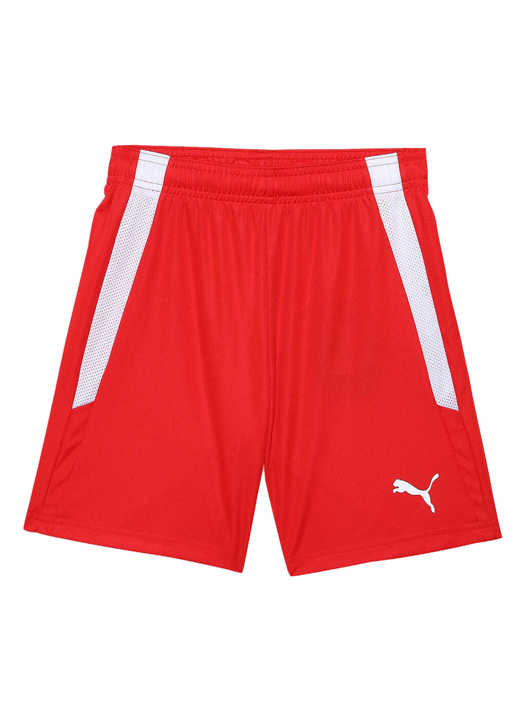 Buy Puma Kids TeamLIGA Football Shorts Shorts for Unisex Kids
