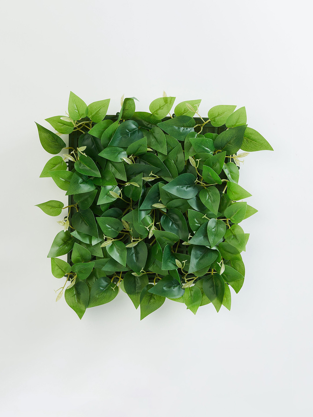 Buy Home Centre Green Gloria Artificial Leaves Wall Planter