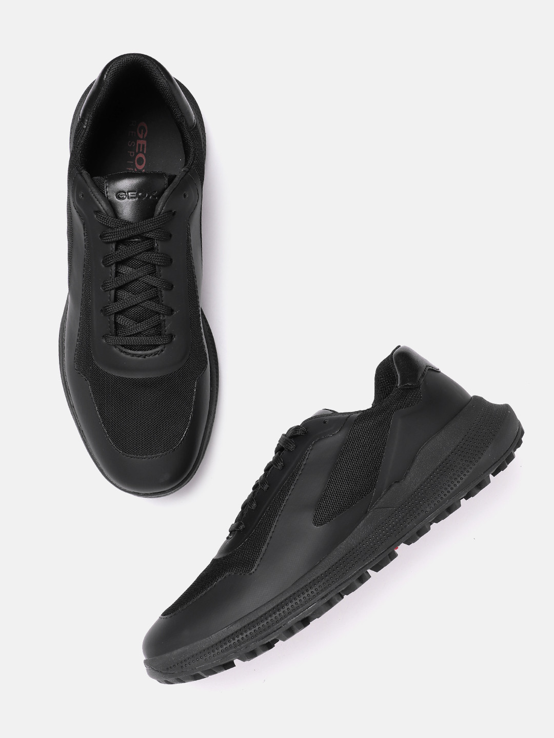 Buy Geox Men Solid Sneakers Casual Shoes for Men 24645986 Myntra