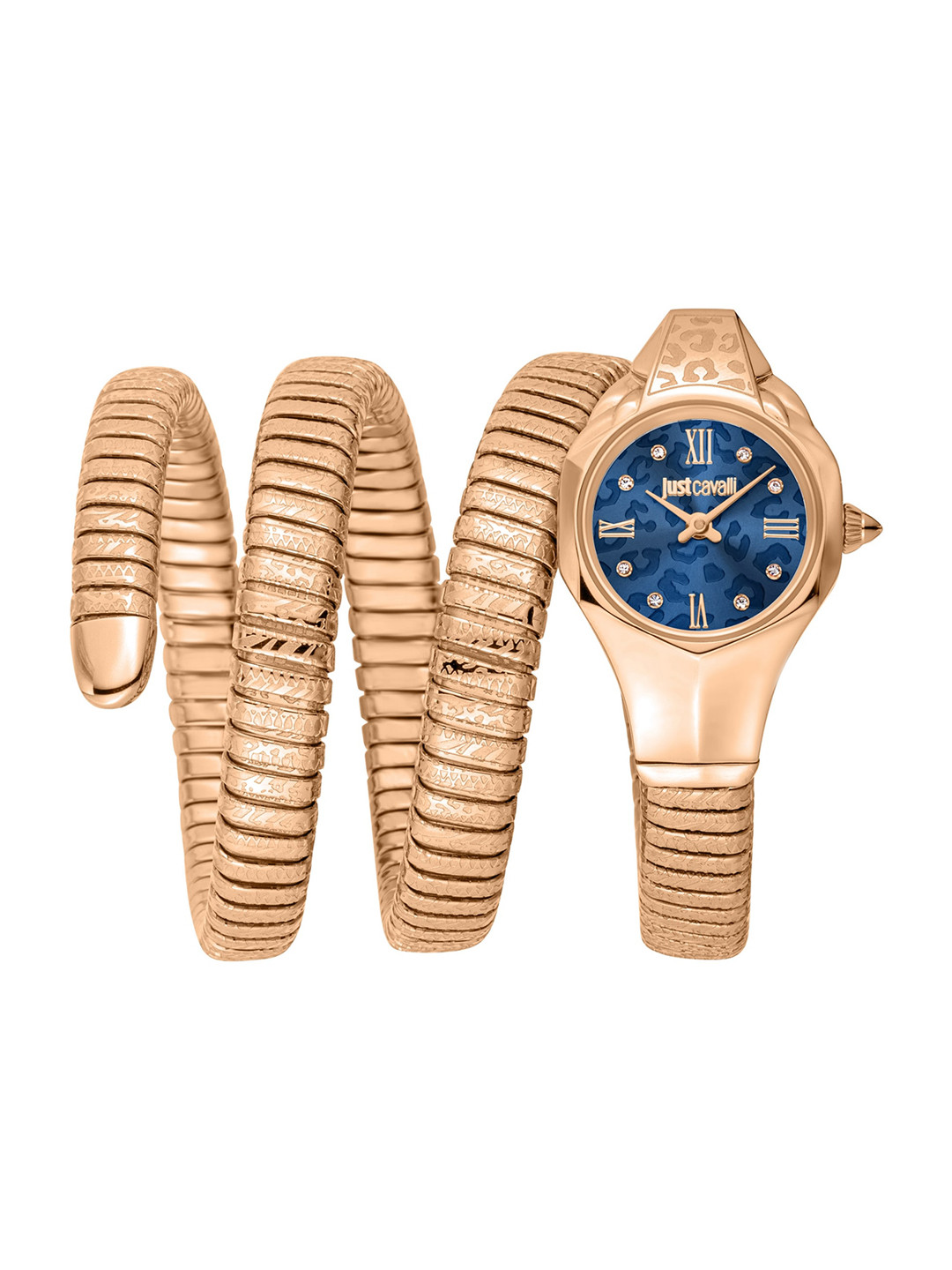 Just Cavalli Specchio Silver Dial Two Tone Steel Strap Watch for Women - JC1L322M0065