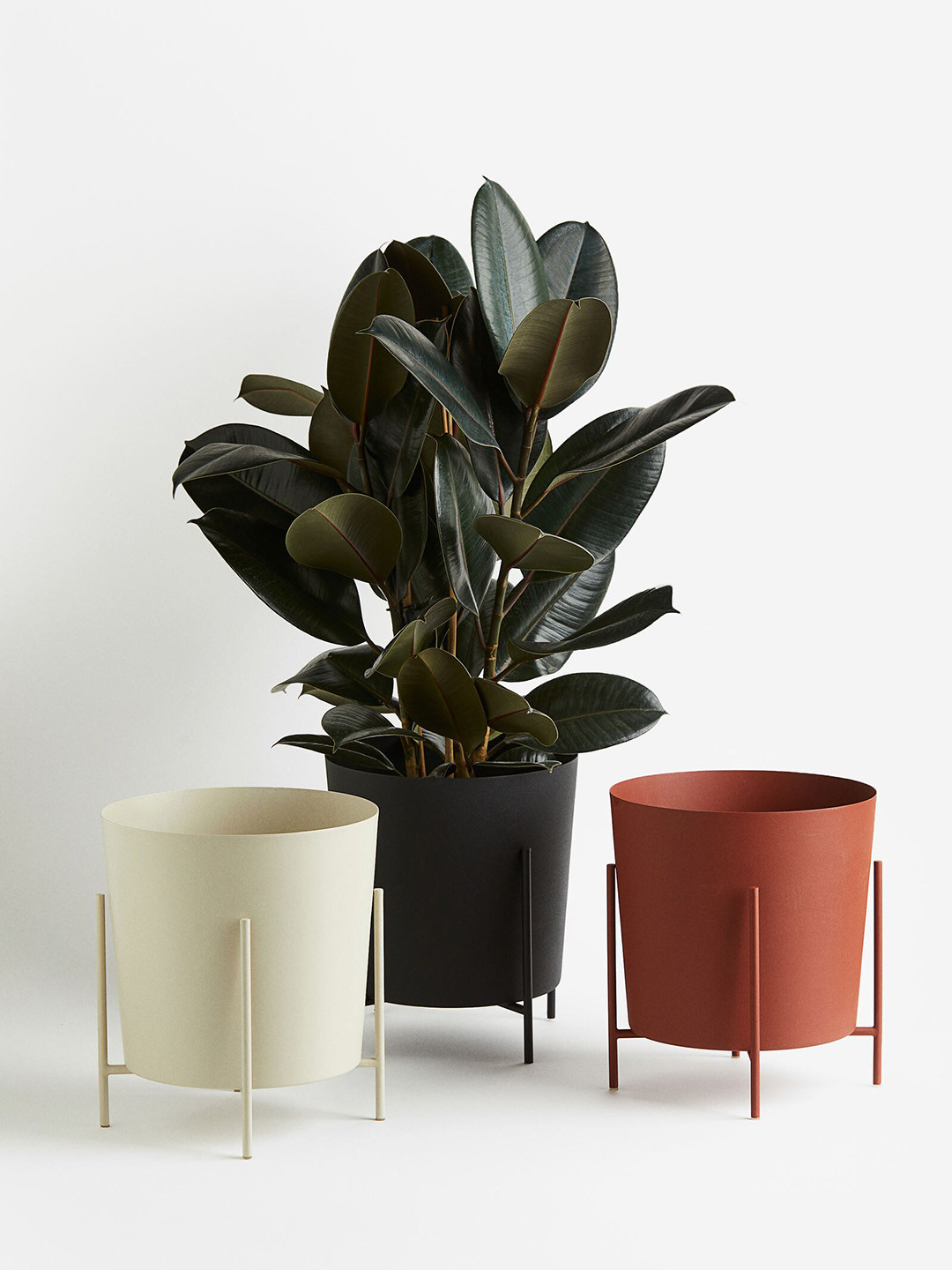 Buy H&M Orange Extra Large Plant Pot On A Stand Planters for Unisex