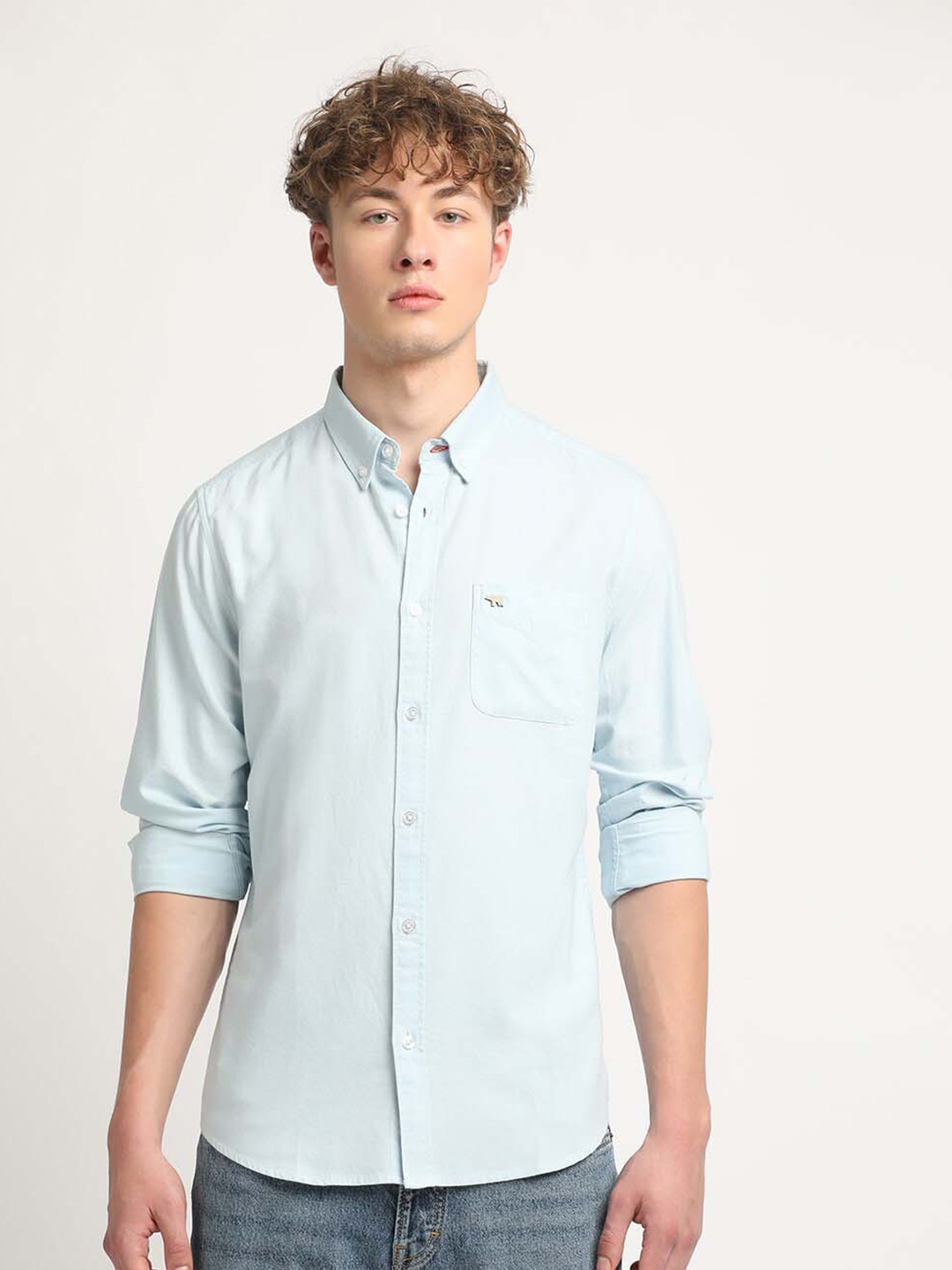 Buy THE BEAR HOUSE Button Down Collar Slim Fit Opaque Pure Cotton ...