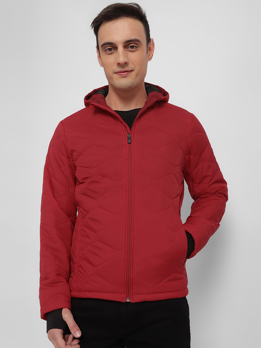 Buy Allen Solly Hooded Pure Cotton Puffer Jacket Jackets for Men