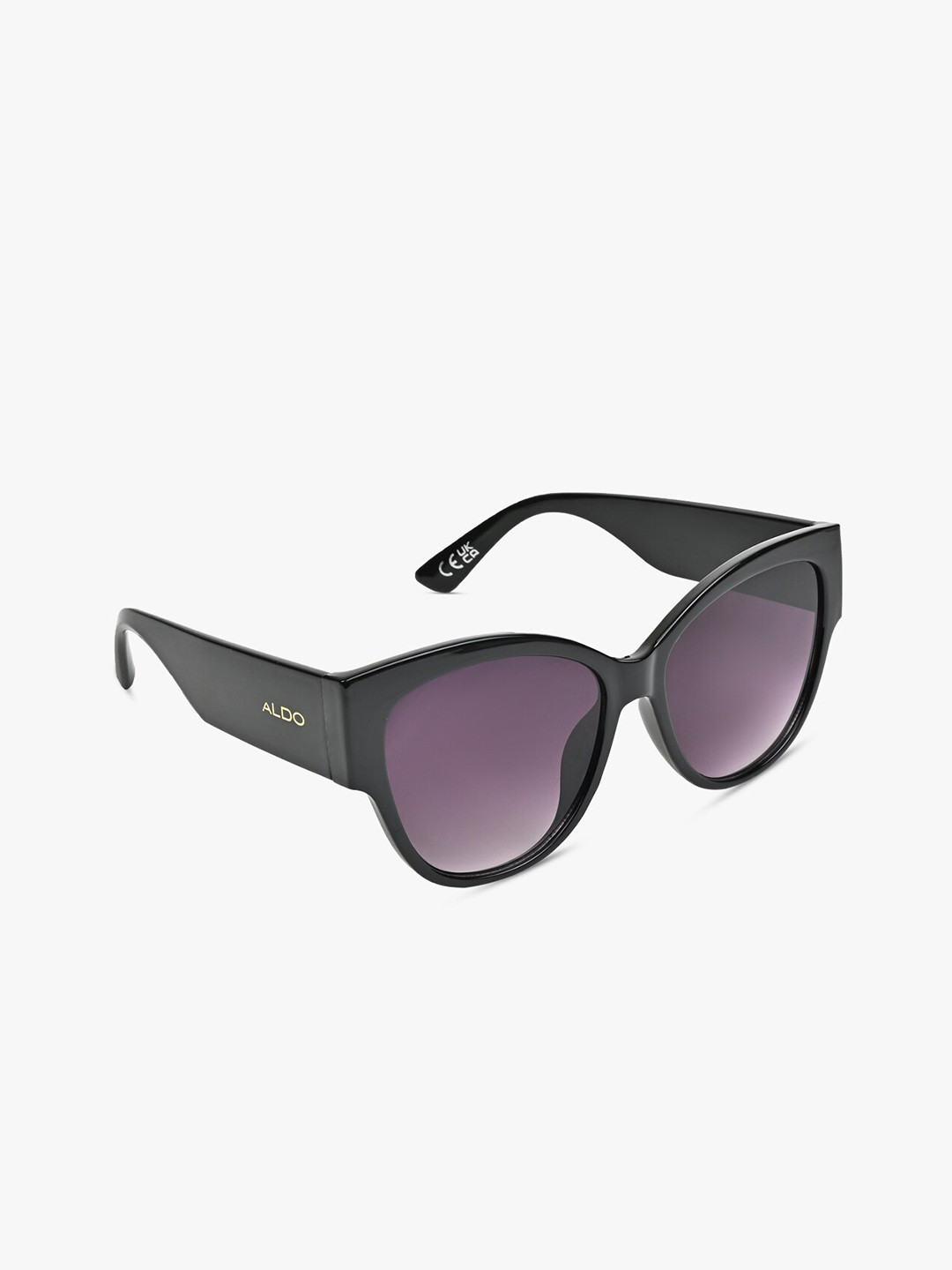 Buy ALDO Women Round Sunglasses IBINI001 - Sunglasses for Women ...