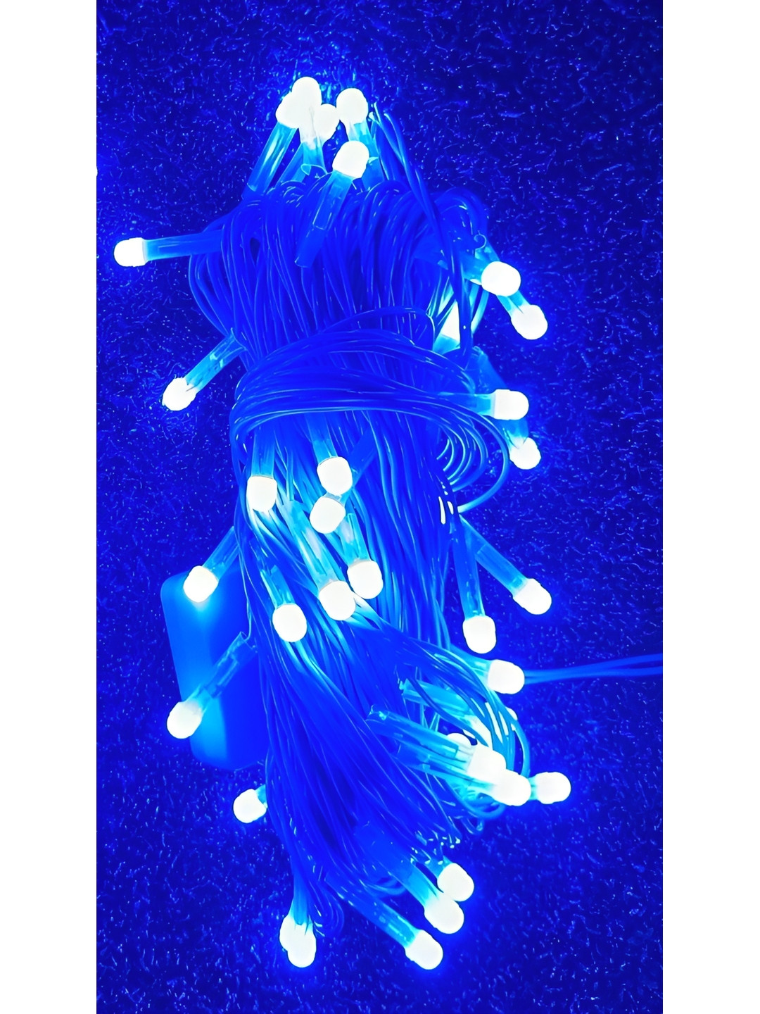 Buy ENORMITY Blue Rice Shape String Lights - String Lights for Unisex ...