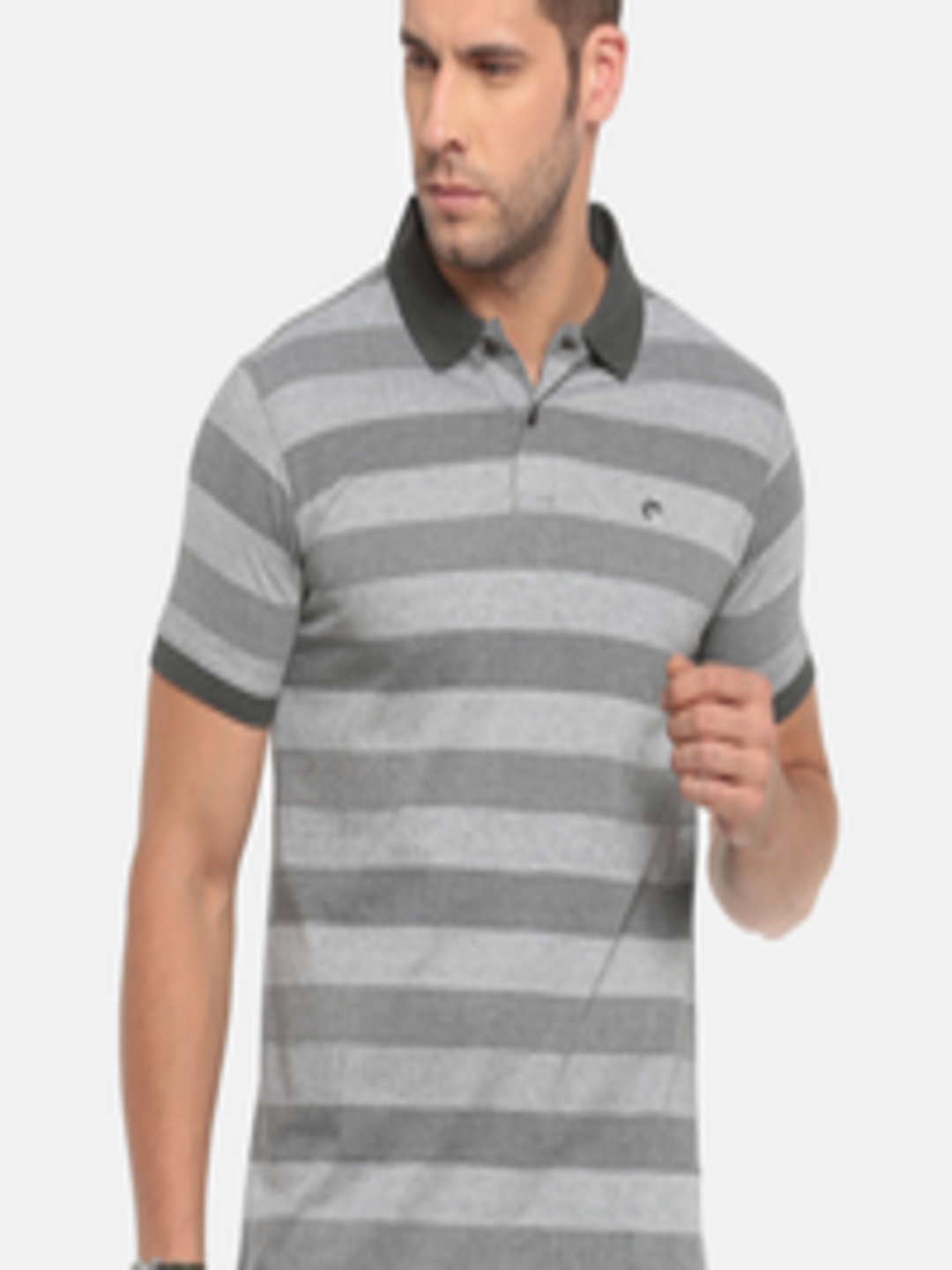 Buy Ruggers Men Grey Striped Polo Collar T Shirt - Tshirts for Men ...