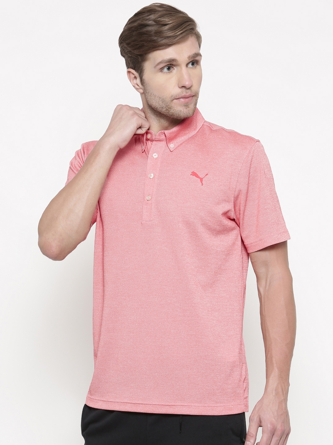 tailored t shirts online