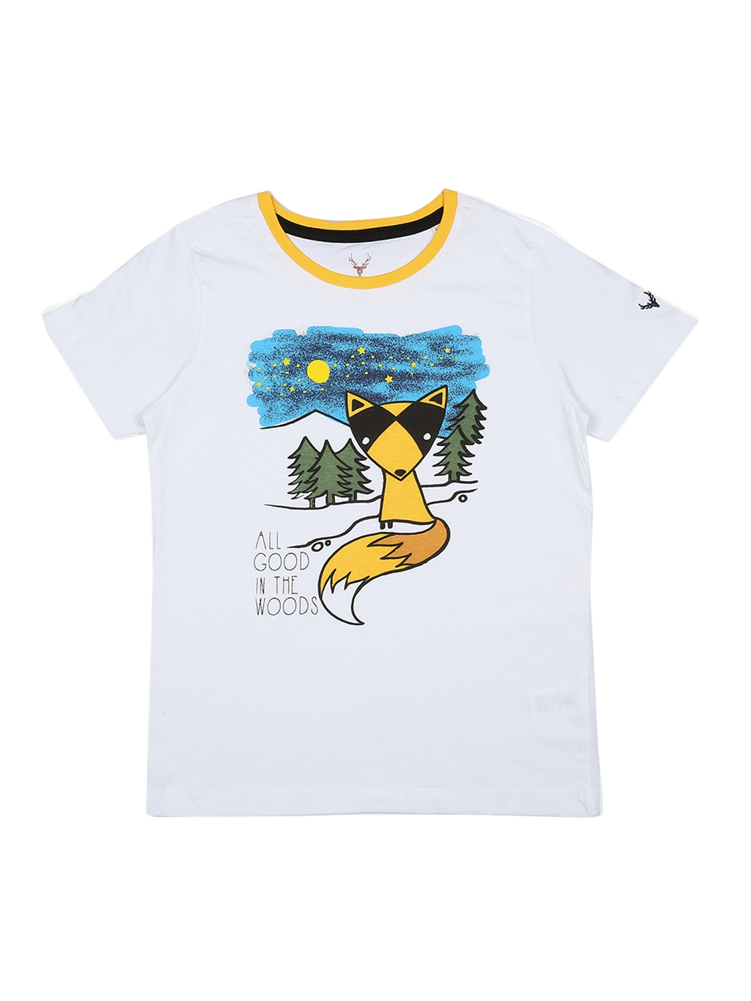 allen solly t shirt for boys