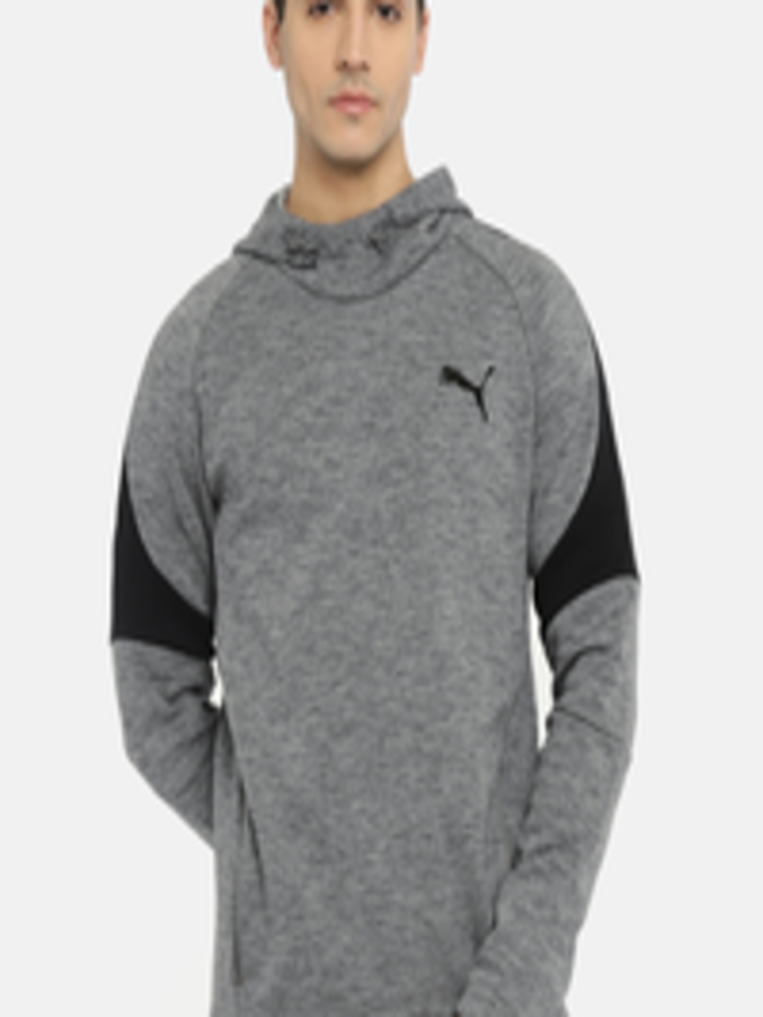 Buy Puma Men Grey Regular Fit Evostripe Hooded Sweatshirt - Sweatshirts ...