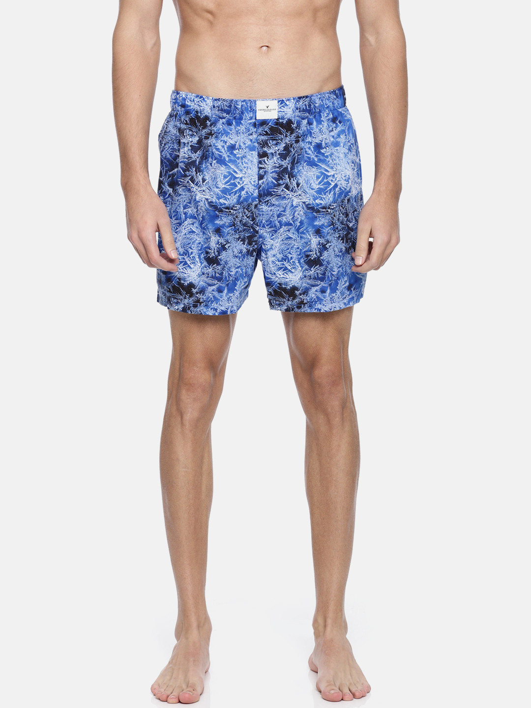 Buy AMERICAN EAGLE OUTFITTERS Men Blue Printed Pure Cotton Boxers 7312