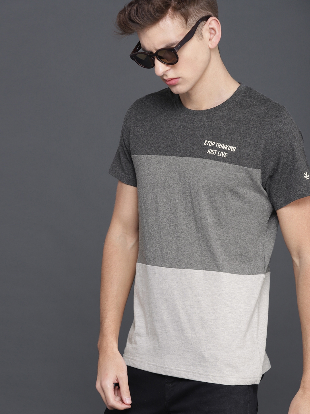 Buy WROGN Men Grey Colourblocked Slim Fit Round Neck T Shirt - Tshirts ...