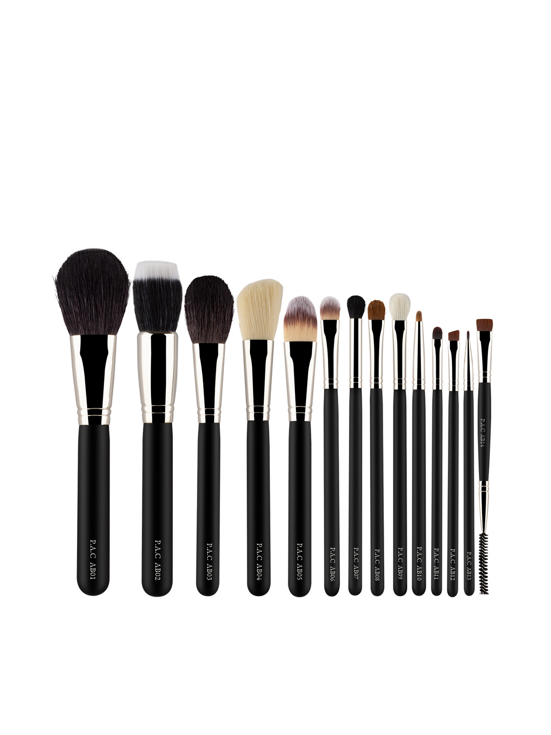 Buy PAC Absolute Basics Makeup Brushes Set Of 14 Face Brush for