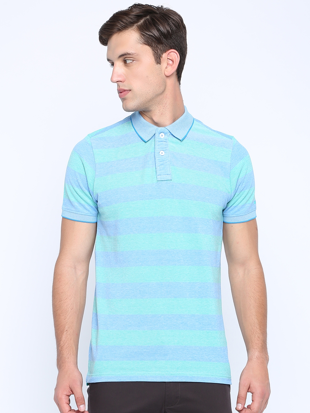 Buy Basics Men Green Blue Striped Polo Collar Pure Cotton T Shirt ...