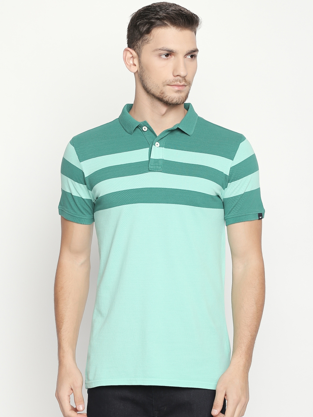 Buy Basics Men Green Striped Polo Collar T Shirt - Tshirts for Men ...