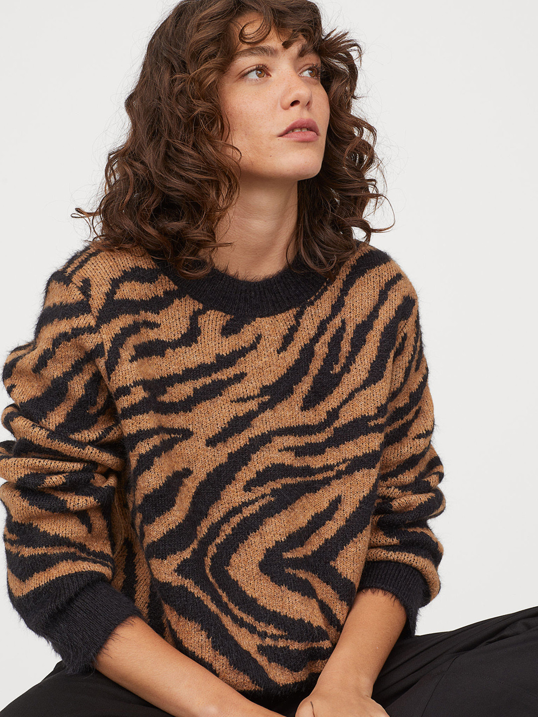 Buy H&M Women Brown Printed Jacquard Knit Jumper Sweaters for Women