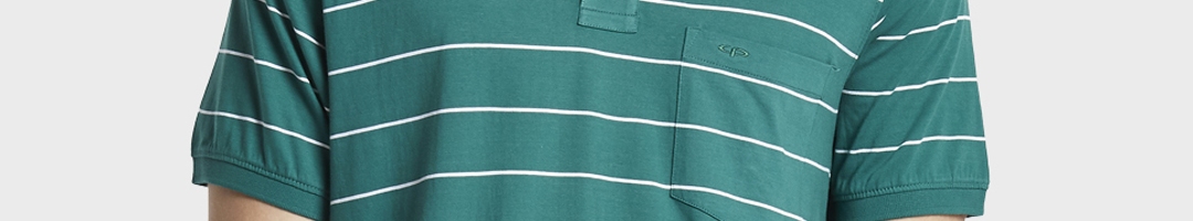 Buy ColorPlus Men Green White Striped Polo Collar Pure Cotton T Shirt ...