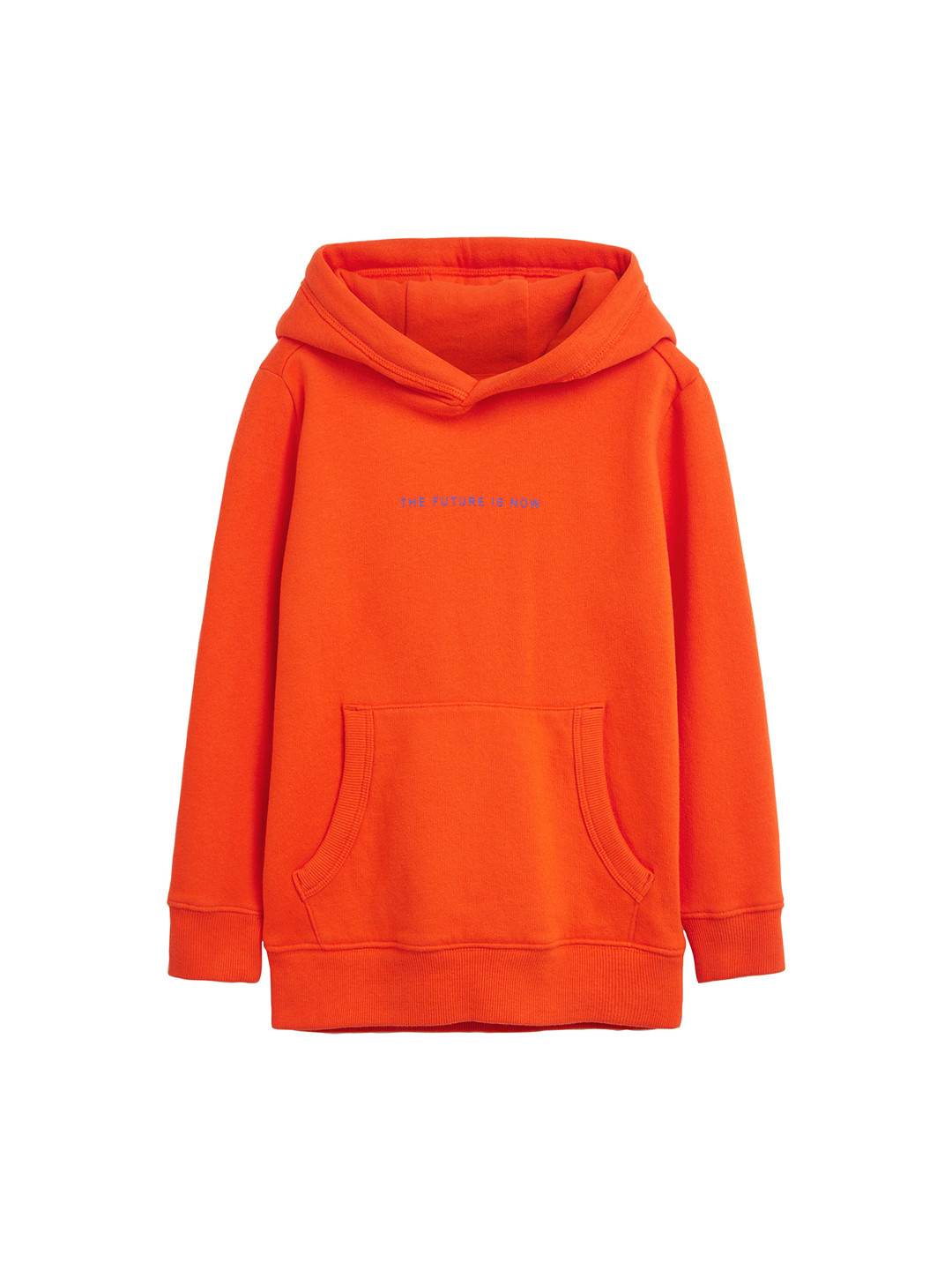 Buy Next Boys Orange Solid Hooded Sweatshirt Sweatshirts for Boys