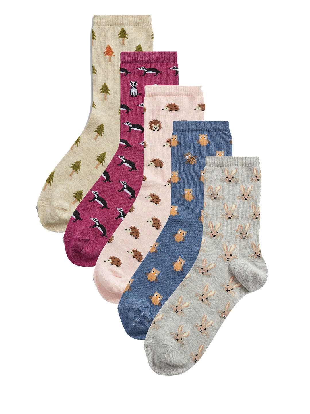 Buy Next Women Pack Of 5 Assorted Above Ankle Socks Socks for Women