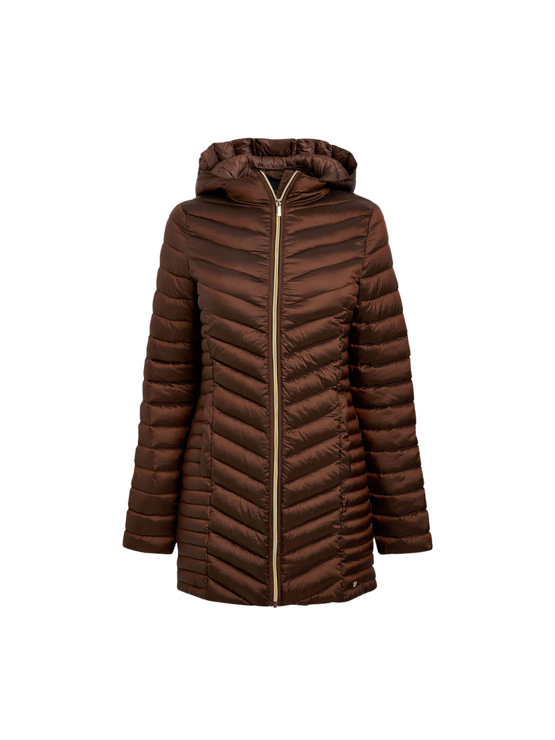Buy Next Women Brown Solid Jacket Jackets for Women 10982072 Myntra