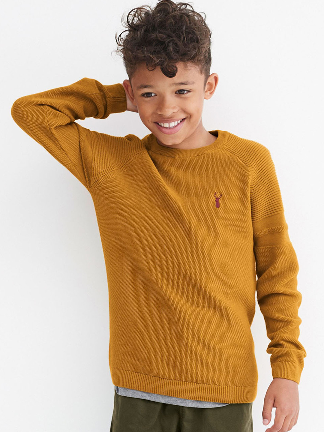 Buy Next Boys Mustard Yellow Solid Sweater Sweaters for Boys 10916862