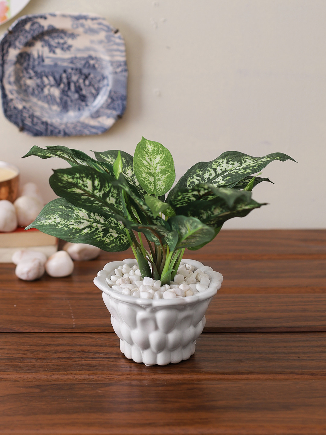 Buy TAYHAA Green & White Variegated Plant With Designed Pot Pothos