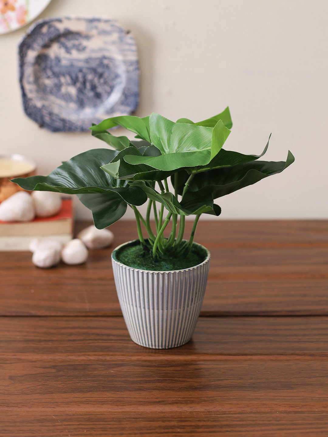 Buy TAYHAA Green & White Artificial House Plant With Lined Pot