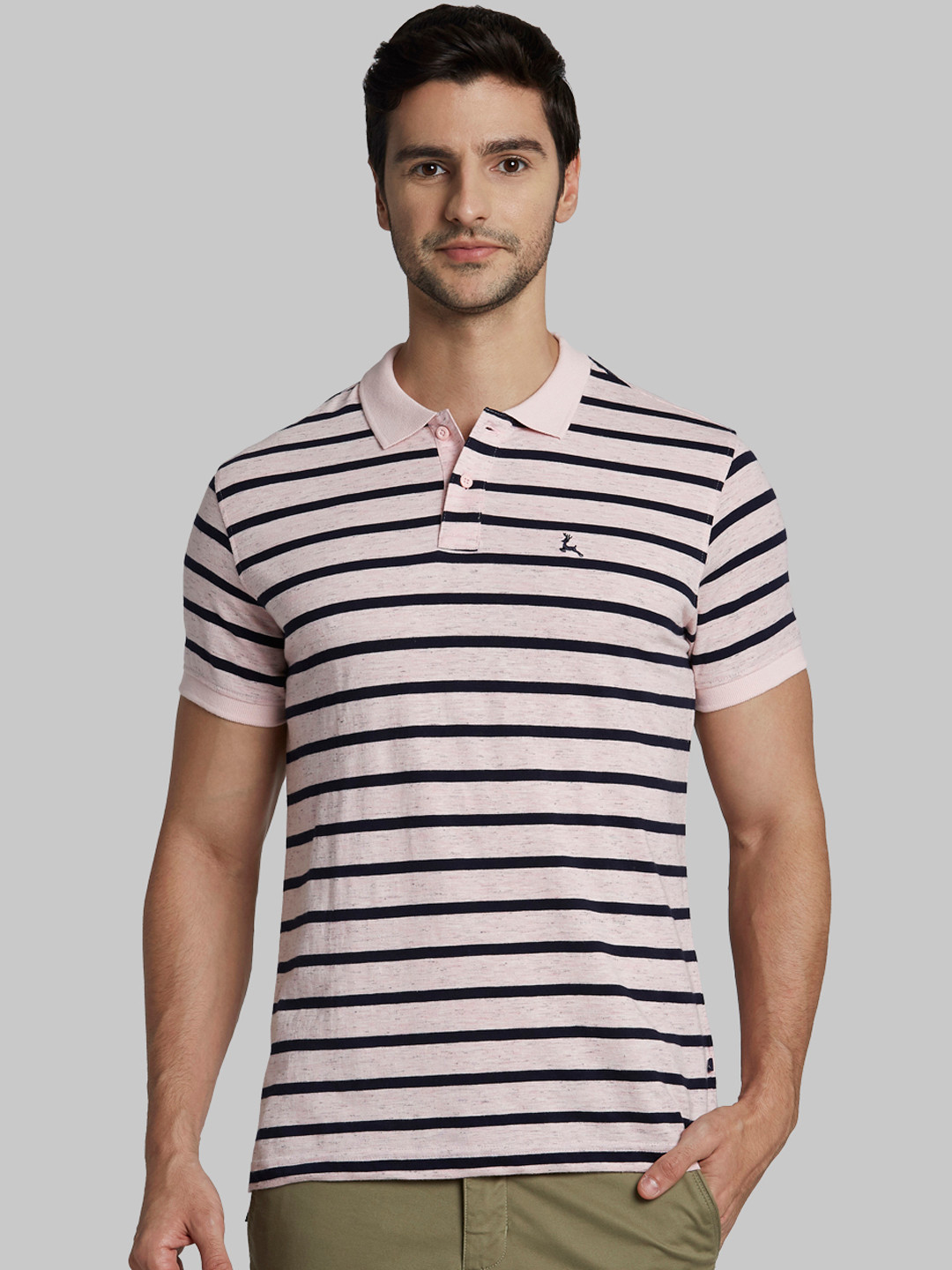 Buy Parx Men Pink & Blue Striped Polo Collar T Shirt - Tshirts for Men ...