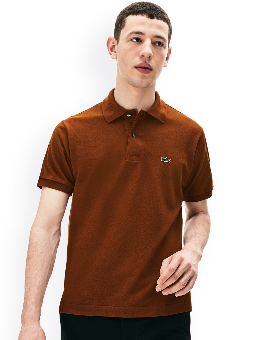 lacoste polo shirt brown