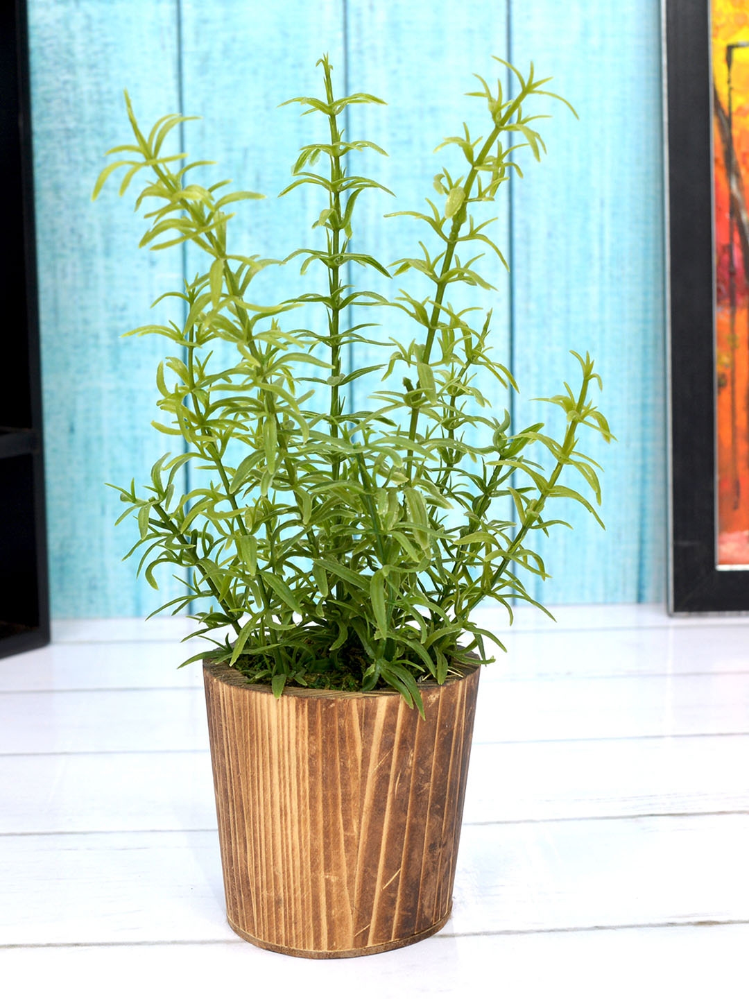 Buy Fancy Mart Green Artificial Asparagus Plant With Round Wood Pot