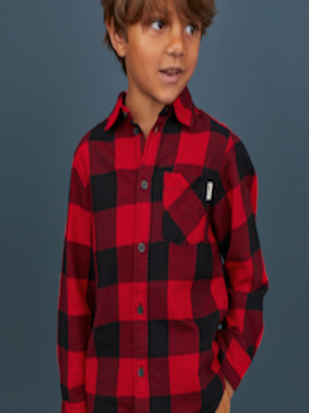 Buy H&M Boys Red Checked Flannel Shirt - Shirts for Boys 10477304 | Myntra