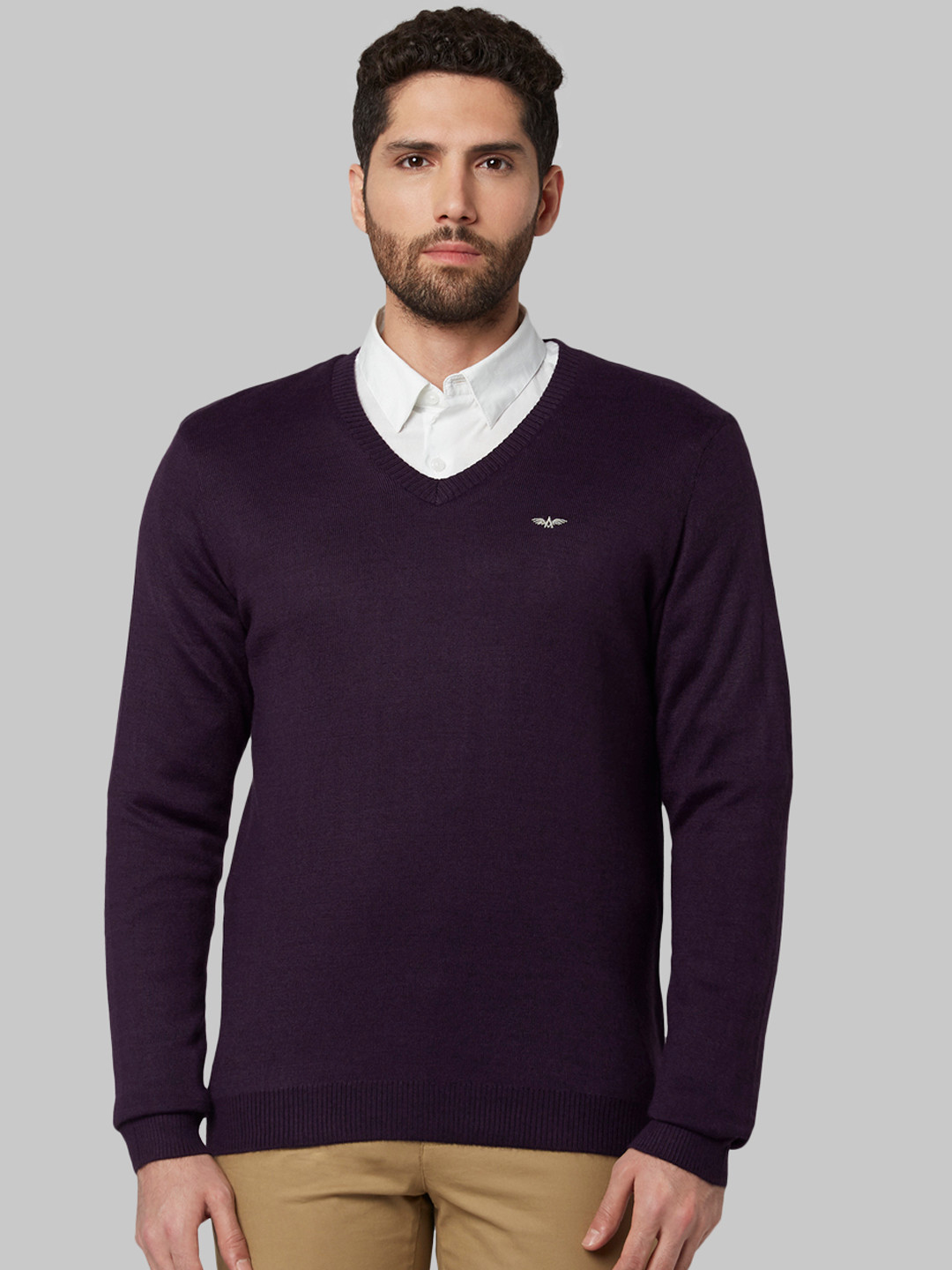Buy Park Avenue Men Purple Solid Sweater - Sweaters for Men 10411218 ...