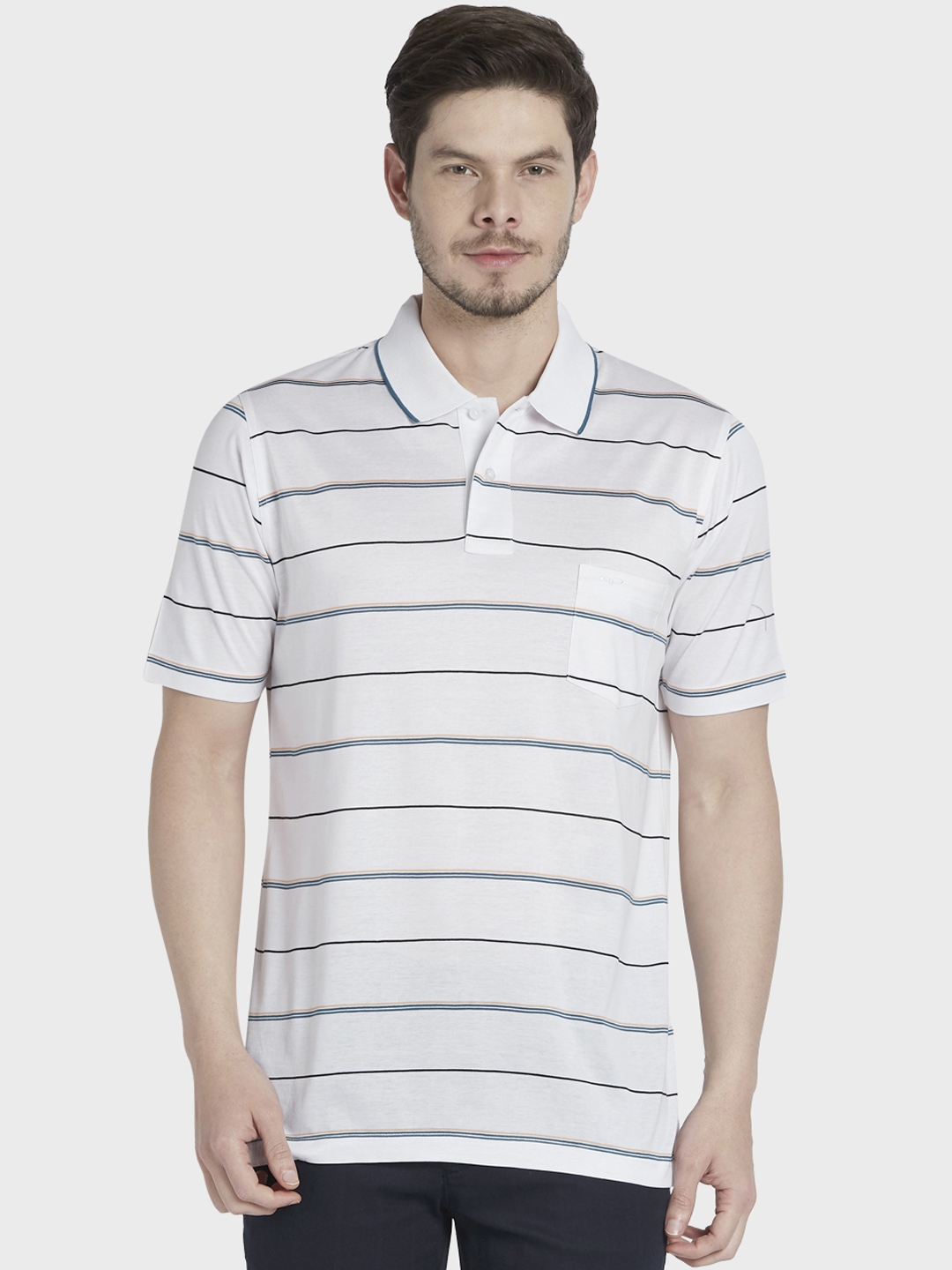 Buy ColorPlus Men White Striped Polo Collar T Shirt - Tshirts for Men ...
