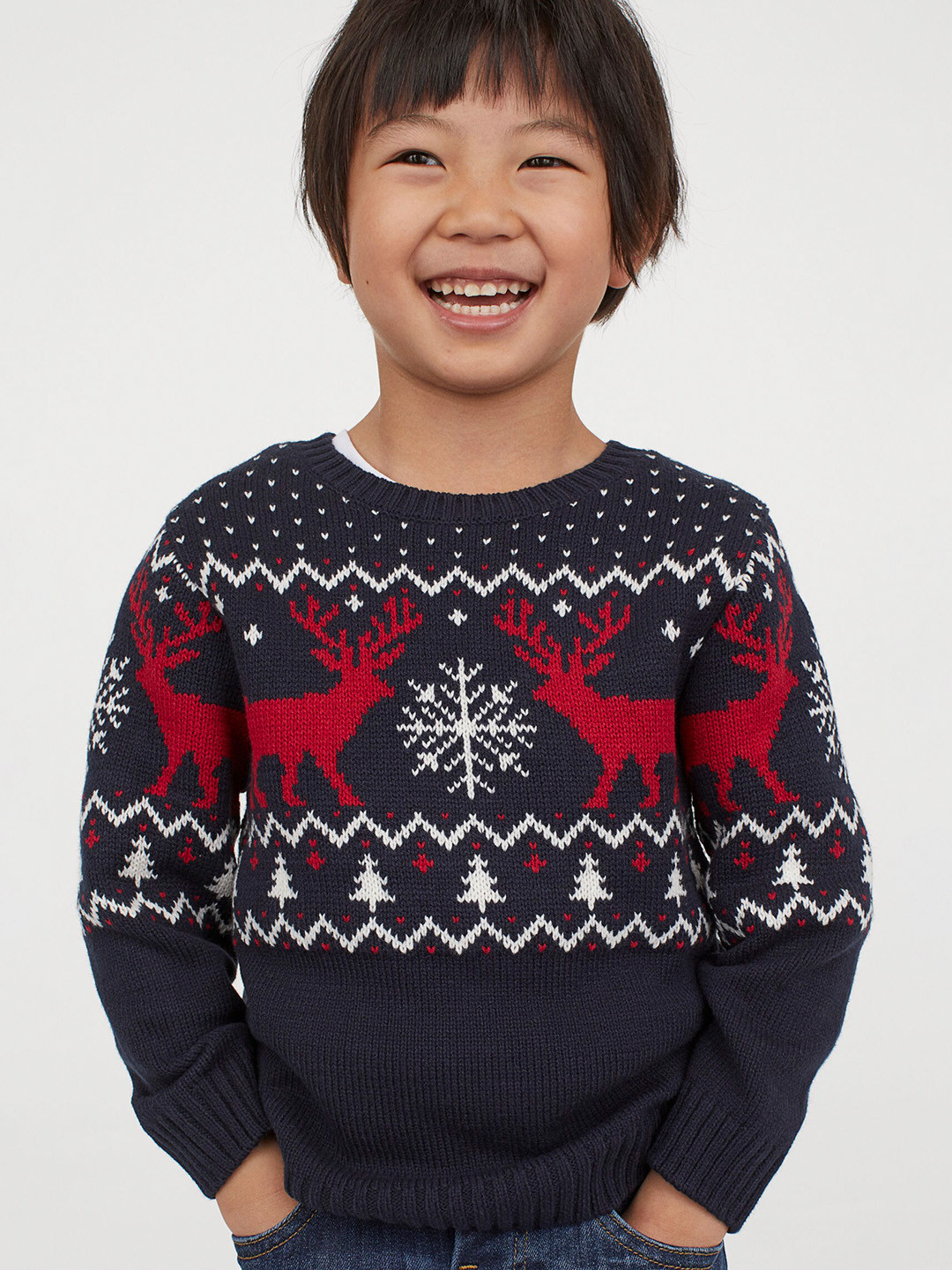 Buy H&M Boys Navy Blue & Red Jacquard Knit Jumper Sweaters for Boys 12773198 Myntra