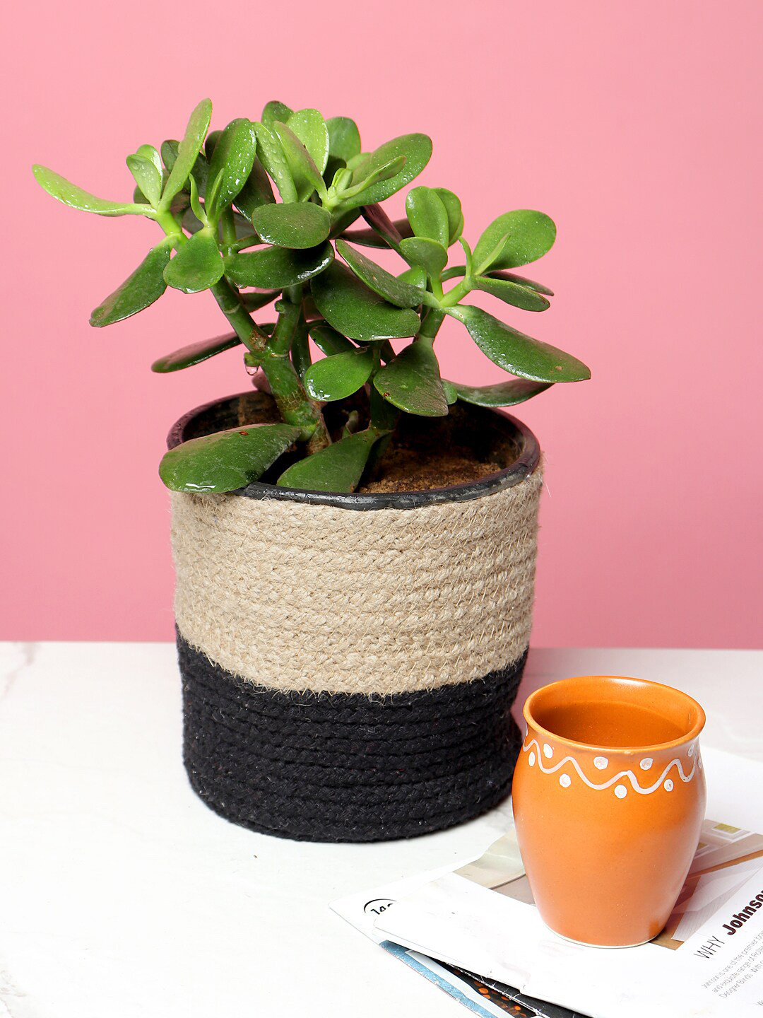 Buy HABERE INDIA Black & Beige Sustainable Jute Planter Planters for