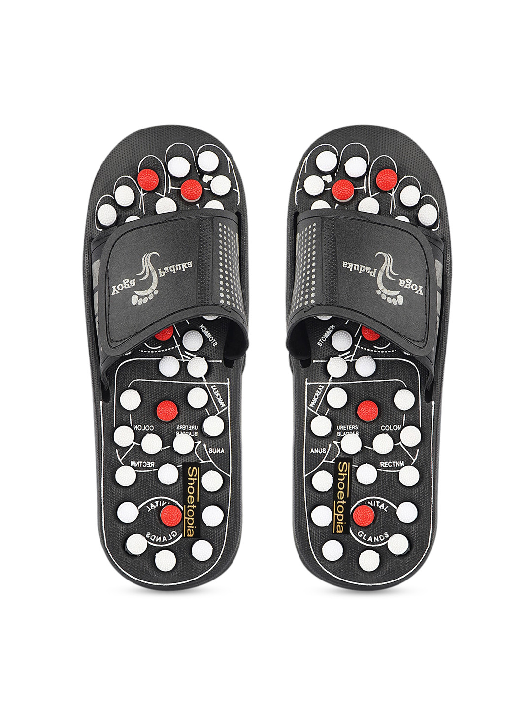 Buy Shoetopia Women Black Solid Sliders - Flip Flops for Women 12452480 | Myntra