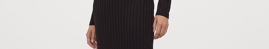 Buy H&M Women Black Ribbed Polo Neck Dress - Dresses for Women 12565712 ...